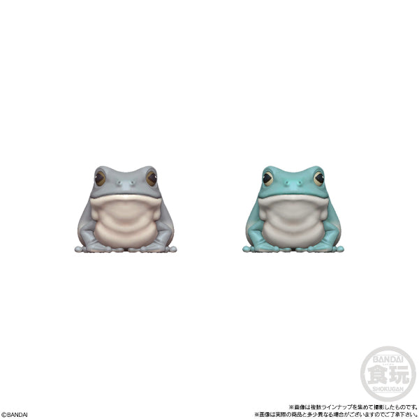 TE-NORI FRIENDS 6 -REPTILES- W/O GUM (set of 11)