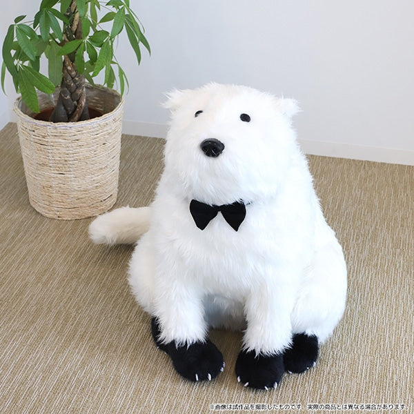 Spy x Family Bond Plush Doll 間諜家家酒 間諜過家家 彭德 ボンド 毛公仔