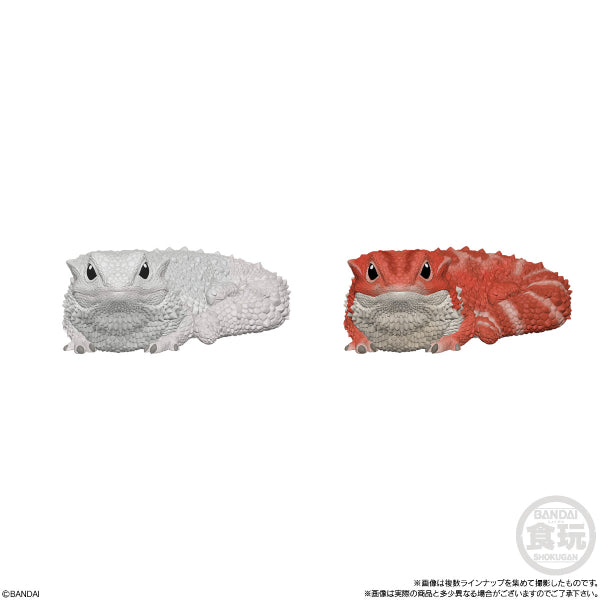 TE-NORI FRIENDS 8 W/O GUM (set of 10)