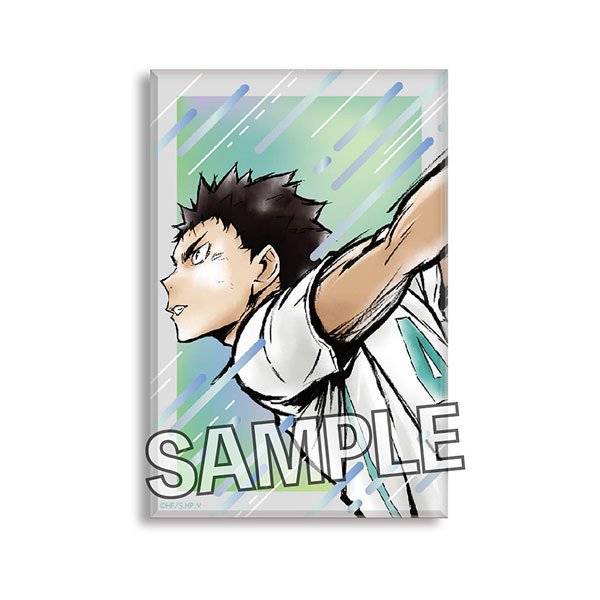 Haikyu!! Gekito!! Tsumi Art Block Series