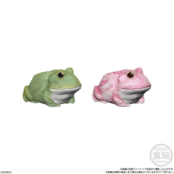 TE-NORI FRIENDS 6 -REPTILES- W/O GUM (set of 11)