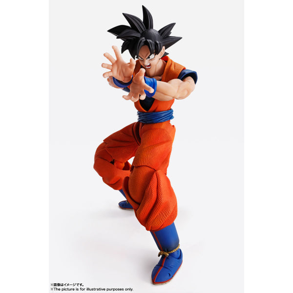 IMAGINATION WORKS - Dragon Ball Son Goku