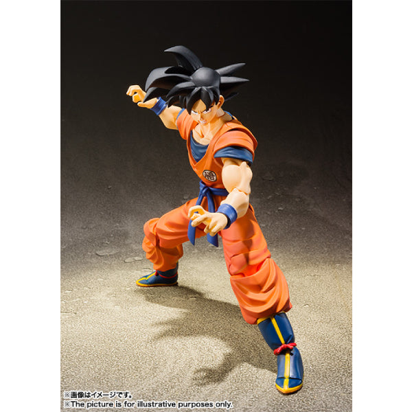 S.H.Figuarts SON GOKU -A SAIYAN RAISED ON EARTH- 龍珠 孫悟空
