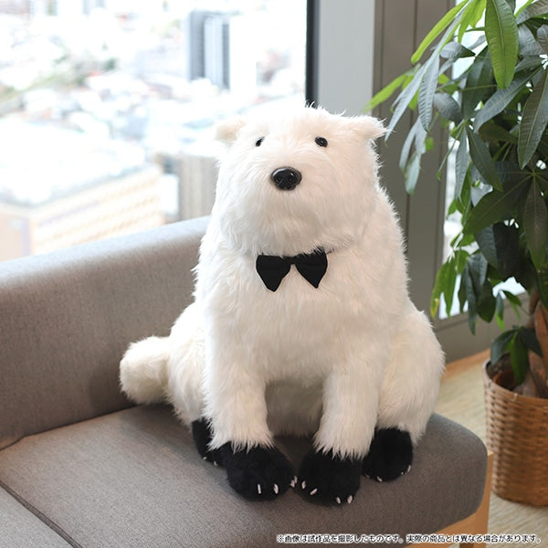 Spy x Family Bond Plush Doll 間諜家家酒 間諜過家家 彭德 ボンド 毛公仔