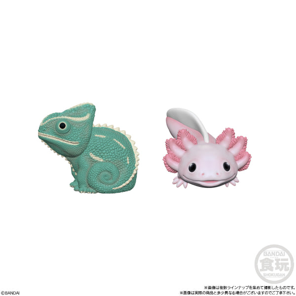 TE-NORI FRIENDS 6 -REPTILES- W/O GUM (set of 11)