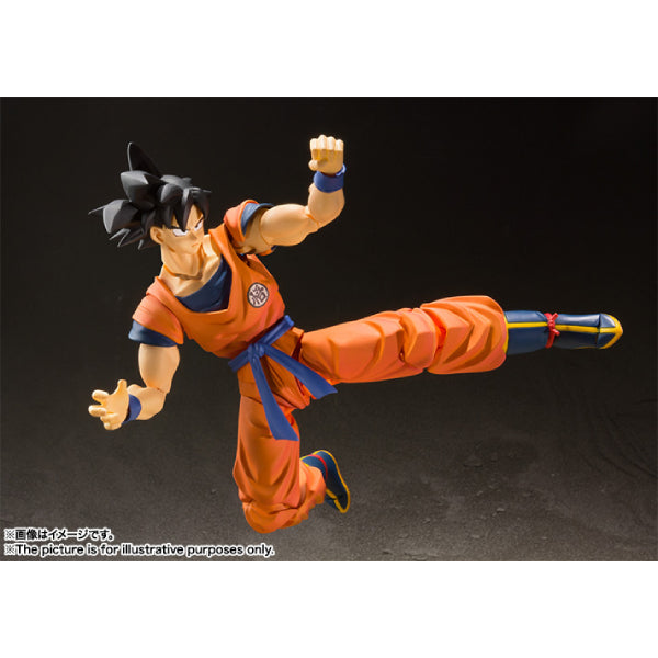 S.H.Figuarts SON GOKU -A SAIYAN RAISED ON EARTH- 龍珠 孫悟空