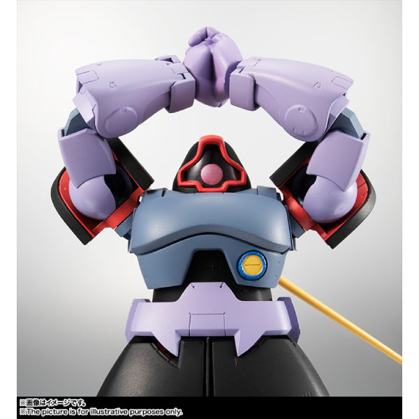 ROBOT SPIRITS <SIDE MS> MS-09 DOM ver. A.N.I.M.E.