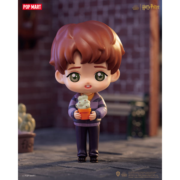 Pop Mart - Harry Potter Heading to Hogwarts series 哈利波特