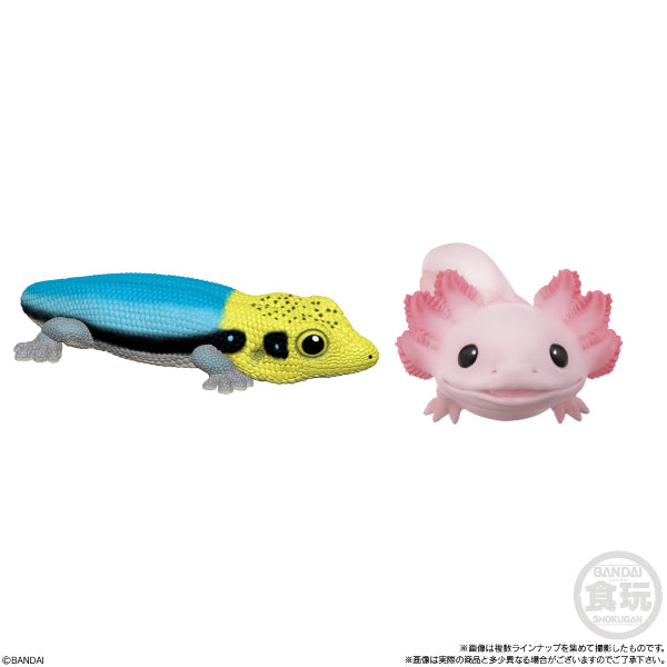 TE-NORI FRIENDS 8 W/O GUM (set of 10)