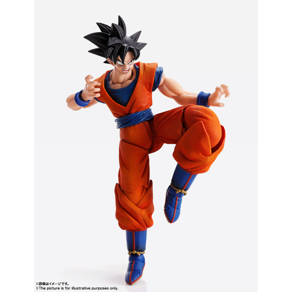 IMAGINATION WORKS - Dragon Ball Son Goku