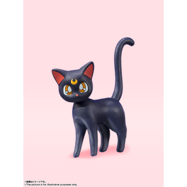 S.H.Figuarts Sailor Moon -Animation Color Edition-