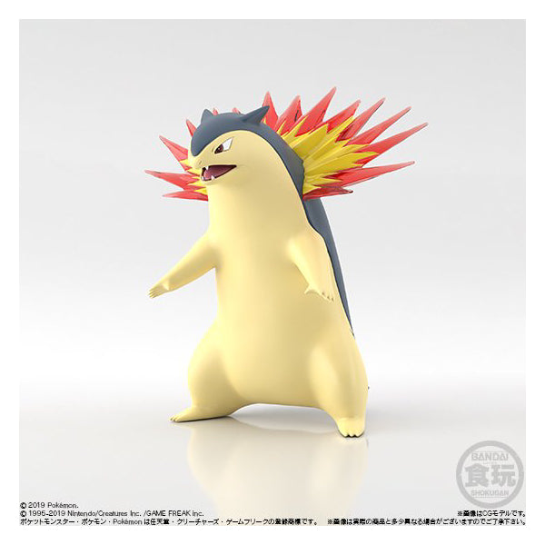 POKEMON SCALE WORLD JOHTO SET (2022 June resale ver.)