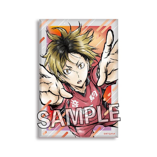 Haikyu!! Gekito!! Tsumi Art Block Series