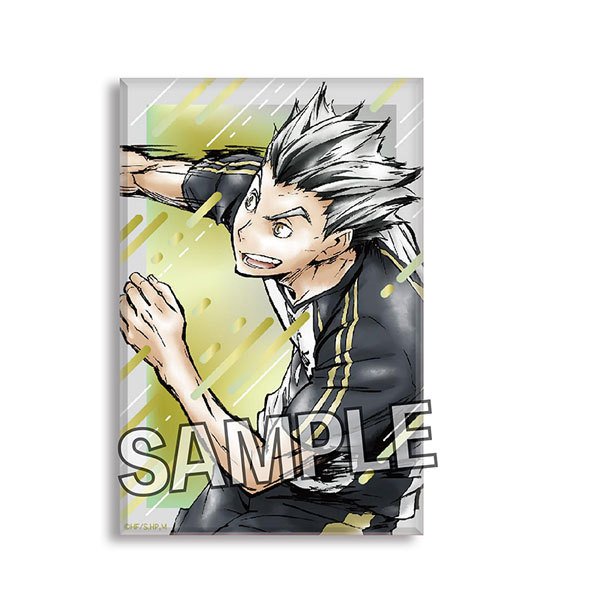 Haikyu!! Gekito!! Tsumi Art Block Series