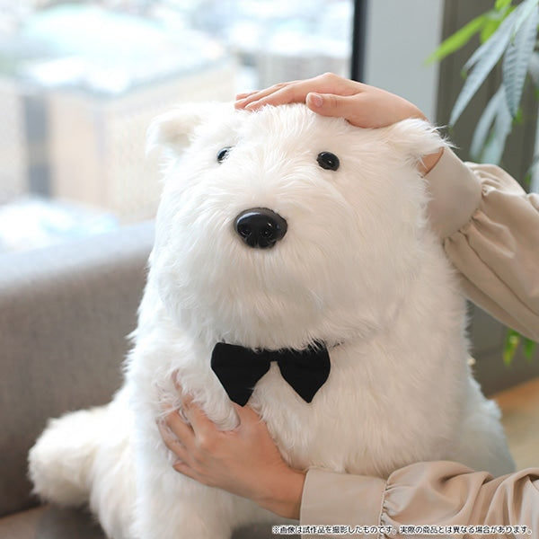 Spy x Family Bond Plush Doll 間諜家家酒 間諜過家家 彭德 ボンド 毛公仔