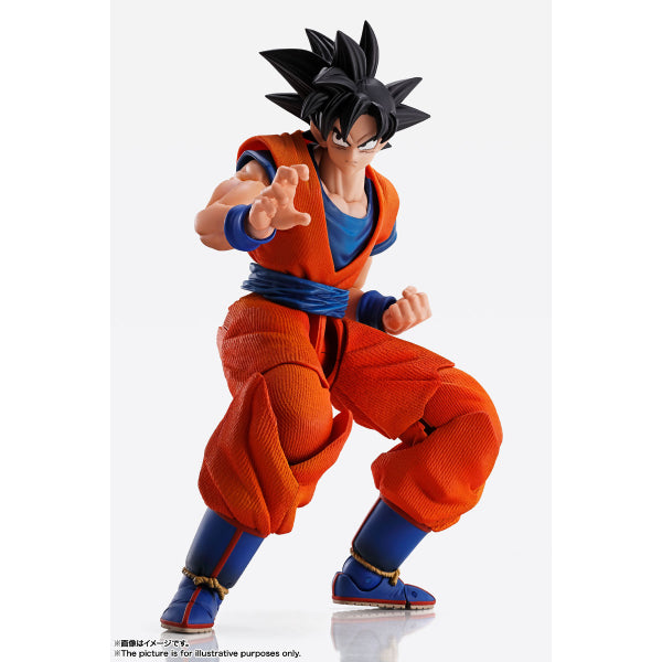 IMAGINATION WORKS - Dragon Ball Son Goku
