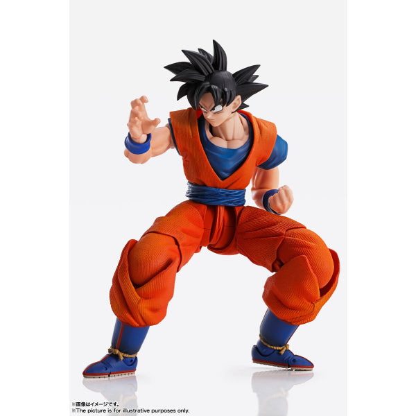 IMAGINATION WORKS - Dragon Ball Son Goku