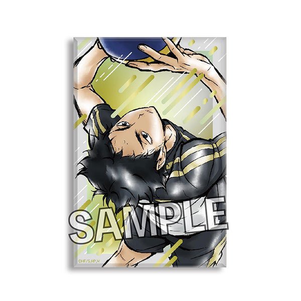 Haikyu!! Gekito!! Tsumi Art Block Series