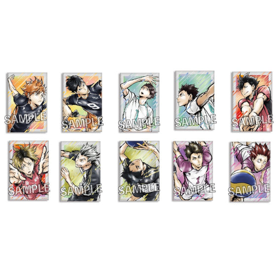 Haikyu!! Gekito!! Tsumi Art Block Series