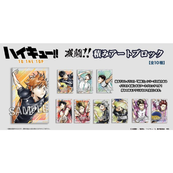 Haikyu!! Gekito!! Tsumi Art Block Series