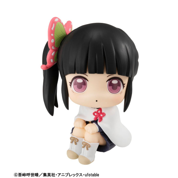 Look Up Series - Demon Slayer Kyojuro Rengoku & Kanao Tsuyuri