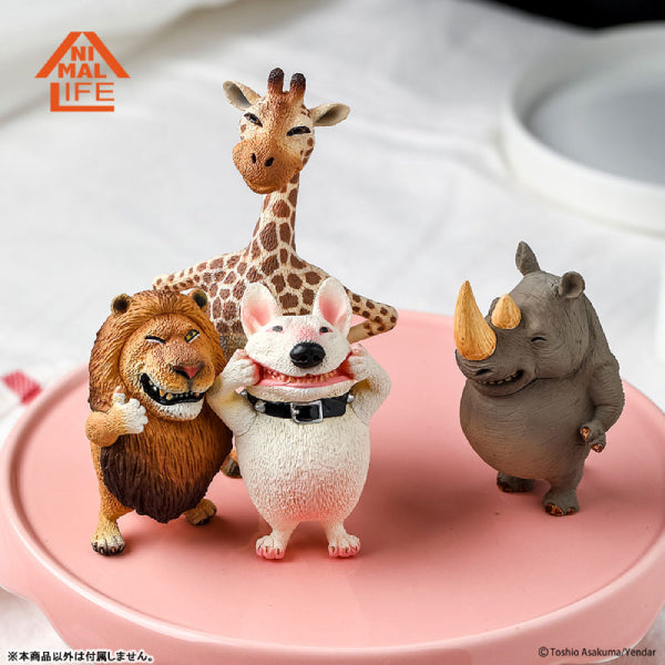 Animal Life - Chubby Series Say Cheese Part 2 (Set of 6)