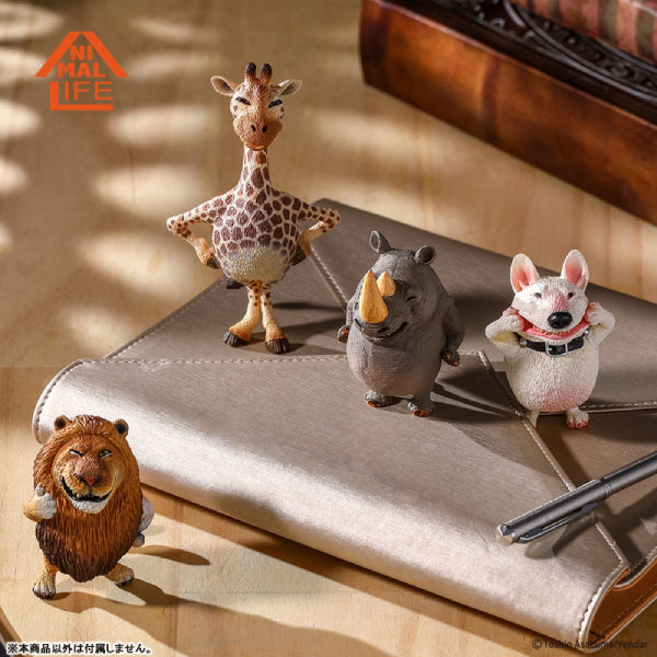 Animal Life - Chubby Series Say Cheese Part 2 (Set of 6)