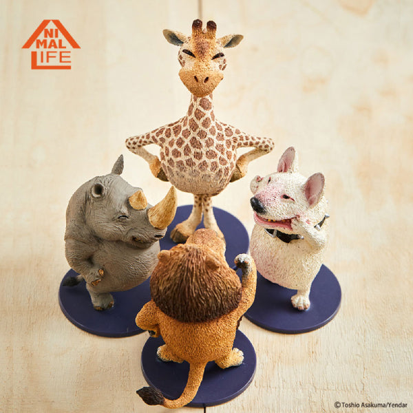 Animal Life - Chubby Series Say Cheese Part 2 (Set of 6)