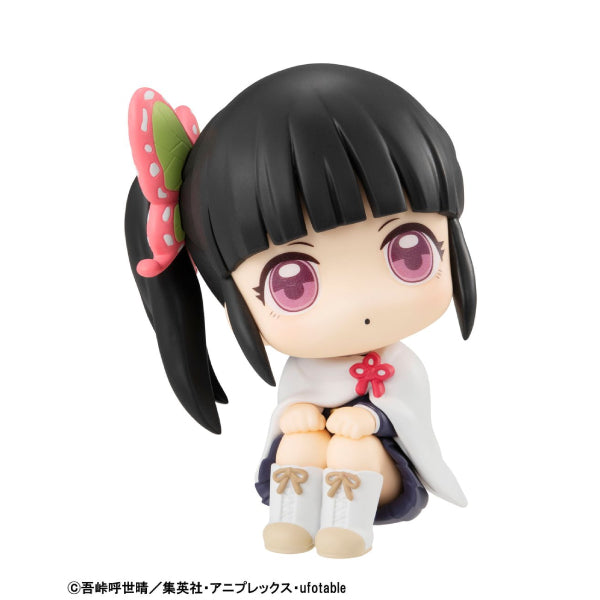 Look Up Series - Demon Slayer Kyojuro Rengoku & Kanao Tsuyuri