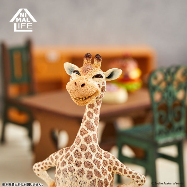 Animal Life - Chubby Series Say Cheese Part 2 (Set of 6)