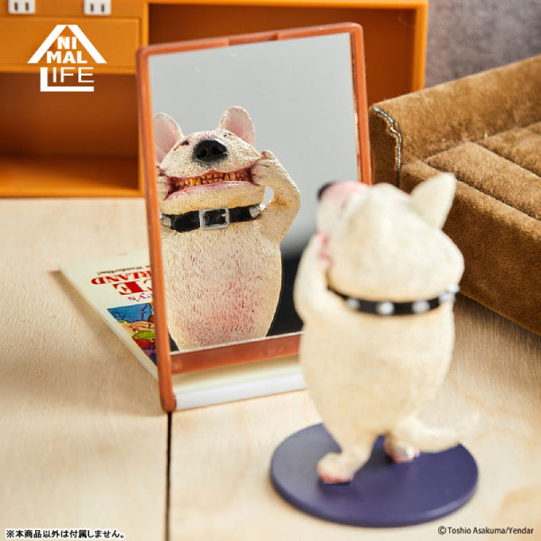 Animal Life - Chubby Series Say Cheese Part 2 (Set of 6)