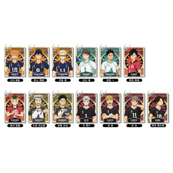 Slide Mirror Haikyuu!! Vol.5 (set of 13) 排球少年