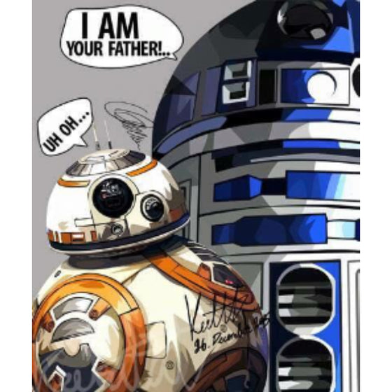 Pop Art Wall Decoration Drawing (Star Wars BB8 VS R2D2) 星球大戰 掛畫