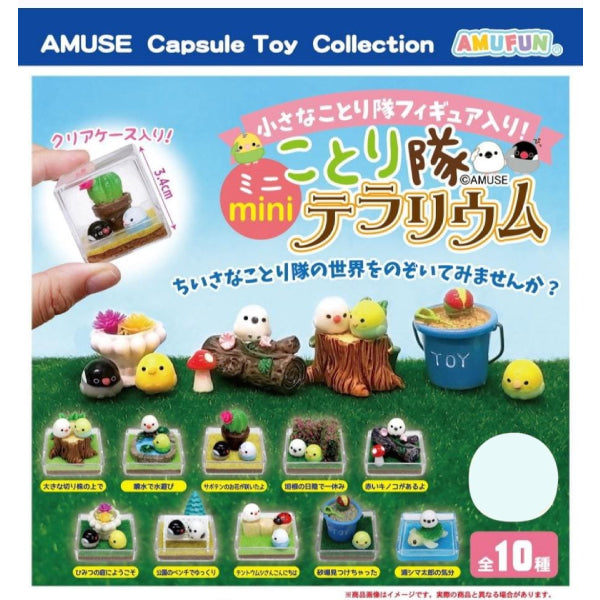 Kotori-tai mini terrarium (set of 10) 扭蛋