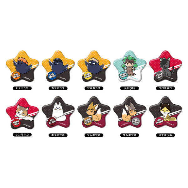 Hoshi-CAN Badge Haikyuu!! (set of 10) 排球少年