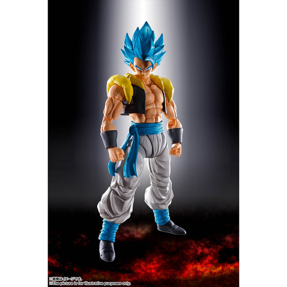[SHF] SUPER SAIYAN GOD SUPER SAIYAN GOGETA