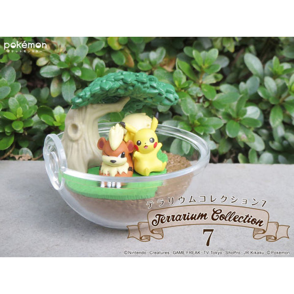 Pokemon Terrarium Collection 7 Pikachu Growlithe Farfetch'd Clefairy Mewtwo Figures