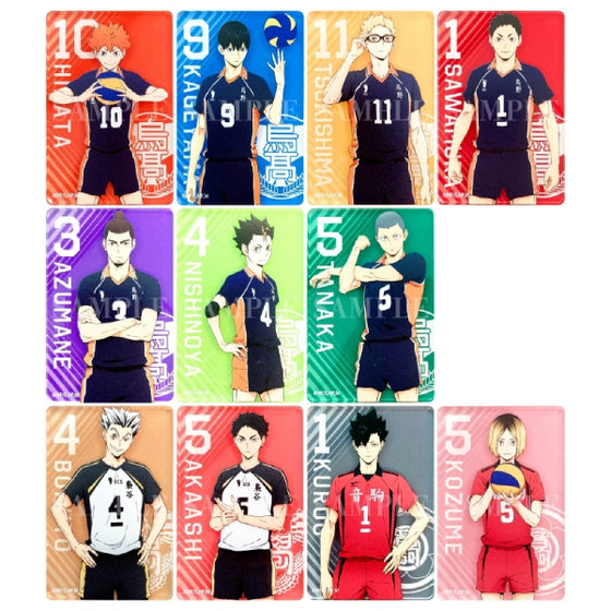 Haikyu !! TO THE TOP Acrylic Magnet Collection (Set of 11)