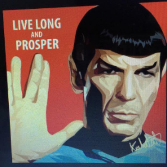 Pop Art Wall Decoration Drawing (SPOCK LLAP) 星空奇遇記 Star Trek 冼樸 掛畫