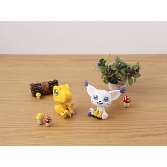 look up Digimon Adventure (Agumon / Gatomon)