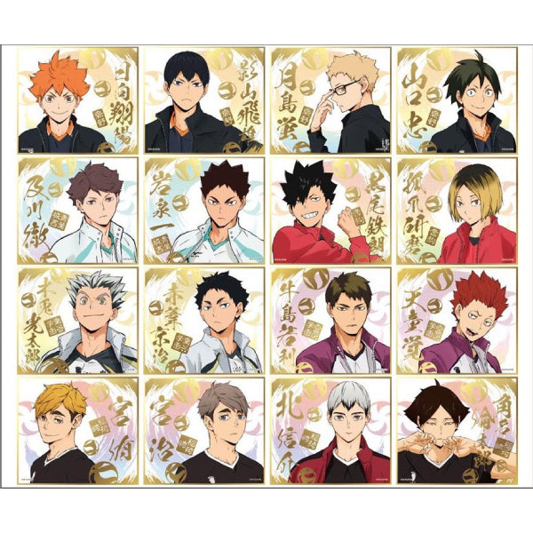 Haikyu !! Visual Shikishi Collection 4 (Set of 16)