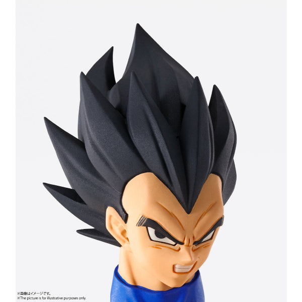 IMAGINATION WORKS - Dragon Ball Z Vegeta