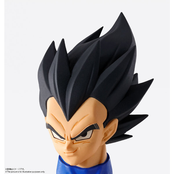 IMAGINATION WORKS - Dragon Ball Z Vegeta