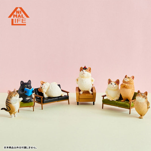 ANIMAL LIFE Collaboration Series TOSHIO ASAKUMA × FUMEANCATS (8 Pcs Box Set)