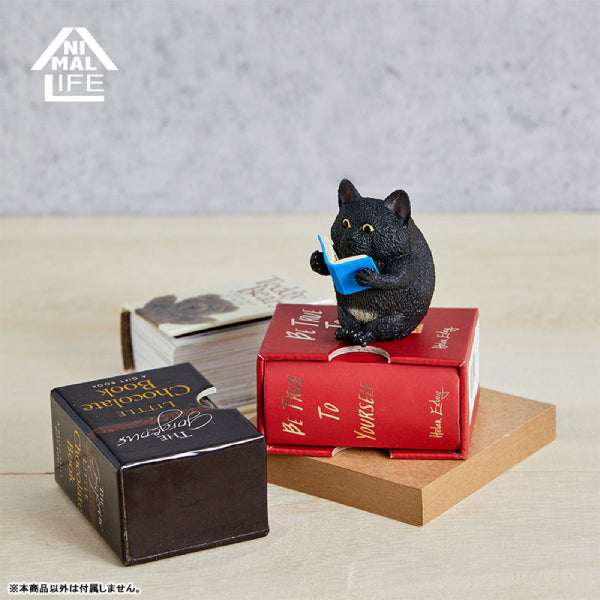 ANIMAL LIFE Collaboration Series TOSHIO ASAKUMA × FUMEANCATS (8 Pcs Box Set)