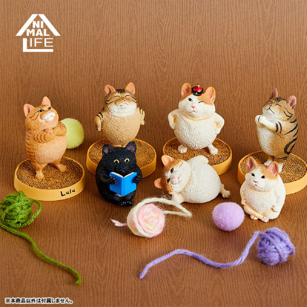 ANIMAL LIFE Collaboration Series TOSHIO ASAKUMA × FUMEANCATS (8 Pcs Box Set)