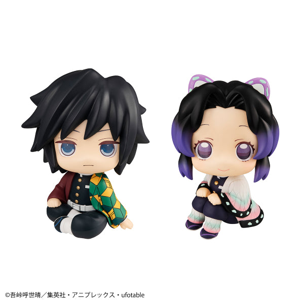 Demon Slayer - Stare at you Series (Shinobu Kocho / Giyu Tomioka) (Nov 2021 resale ver.)