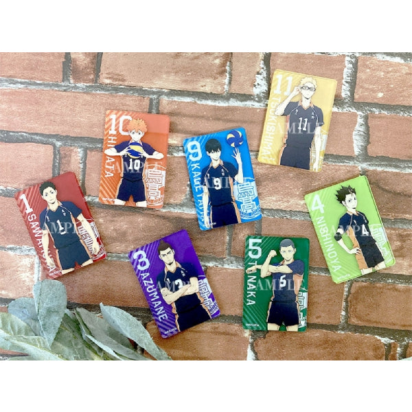 Haikyu !! TO THE TOP Acrylic Magnet Collection (Set of 11)