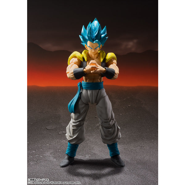 [SHF] SUPER SAIYAN GOD SUPER SAIYAN GOGETA