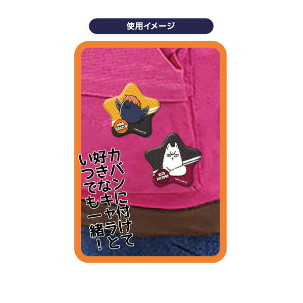 Hoshi-CAN Badge Haikyuu!! (set of 10) 排球少年
